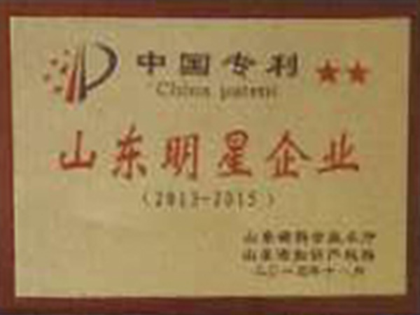 明星企業(yè)